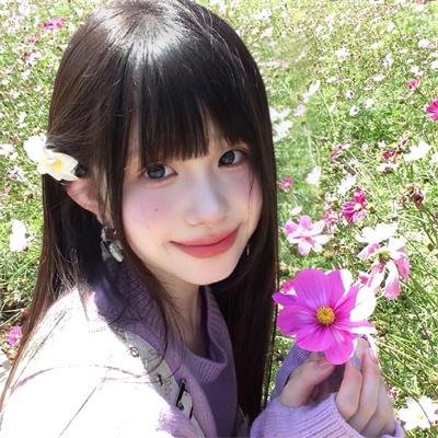 朝颜 在线观看
