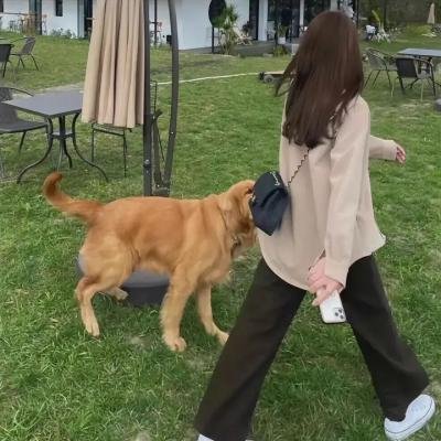 爱的束缚 在线观看